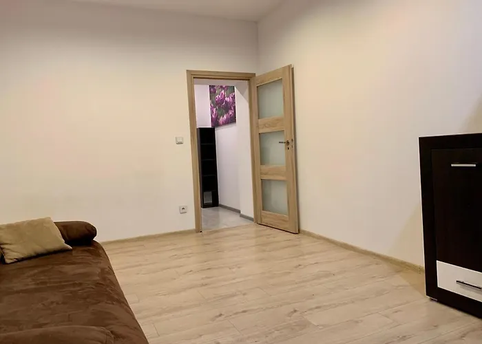 Felicjanek